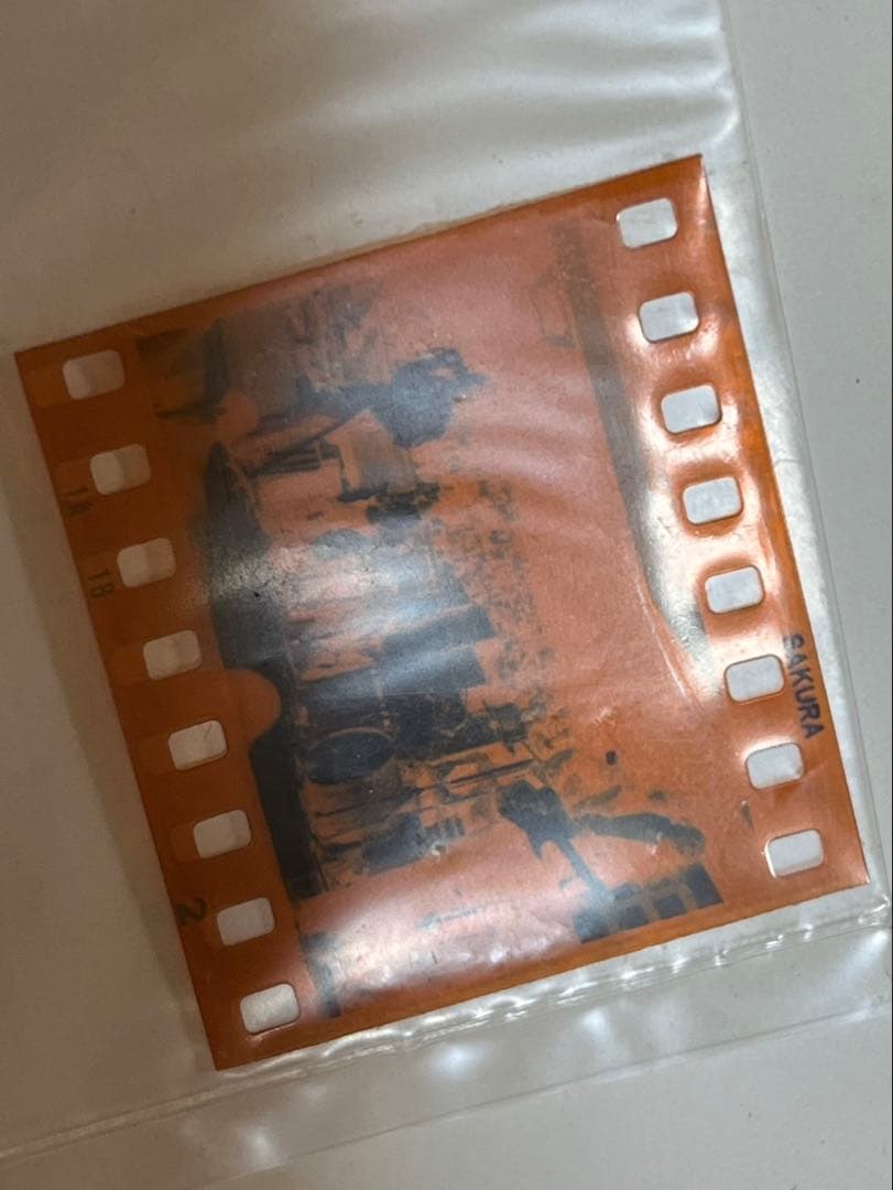 当時物　ディープパープル　ネガフィルムのみ