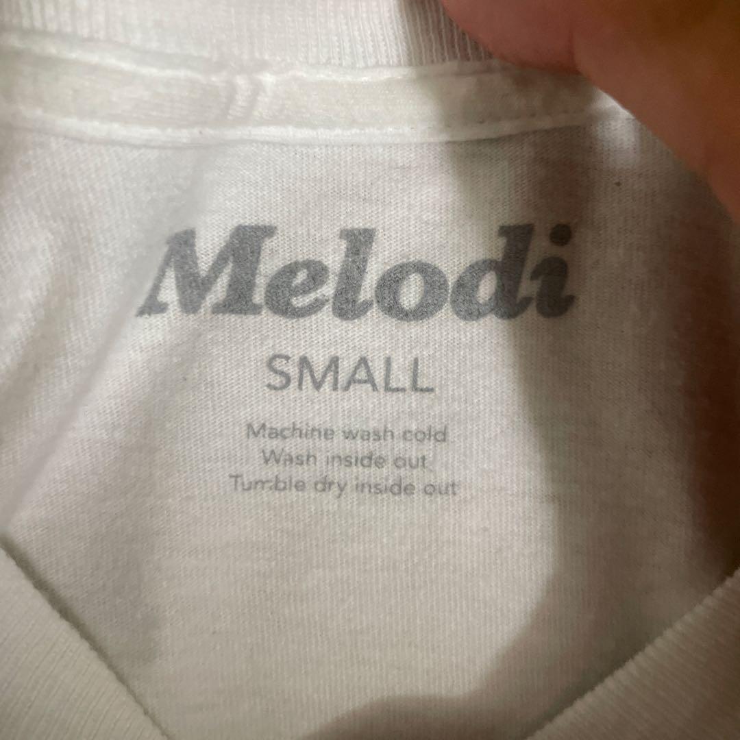たいが　　ec melodi S 激レア