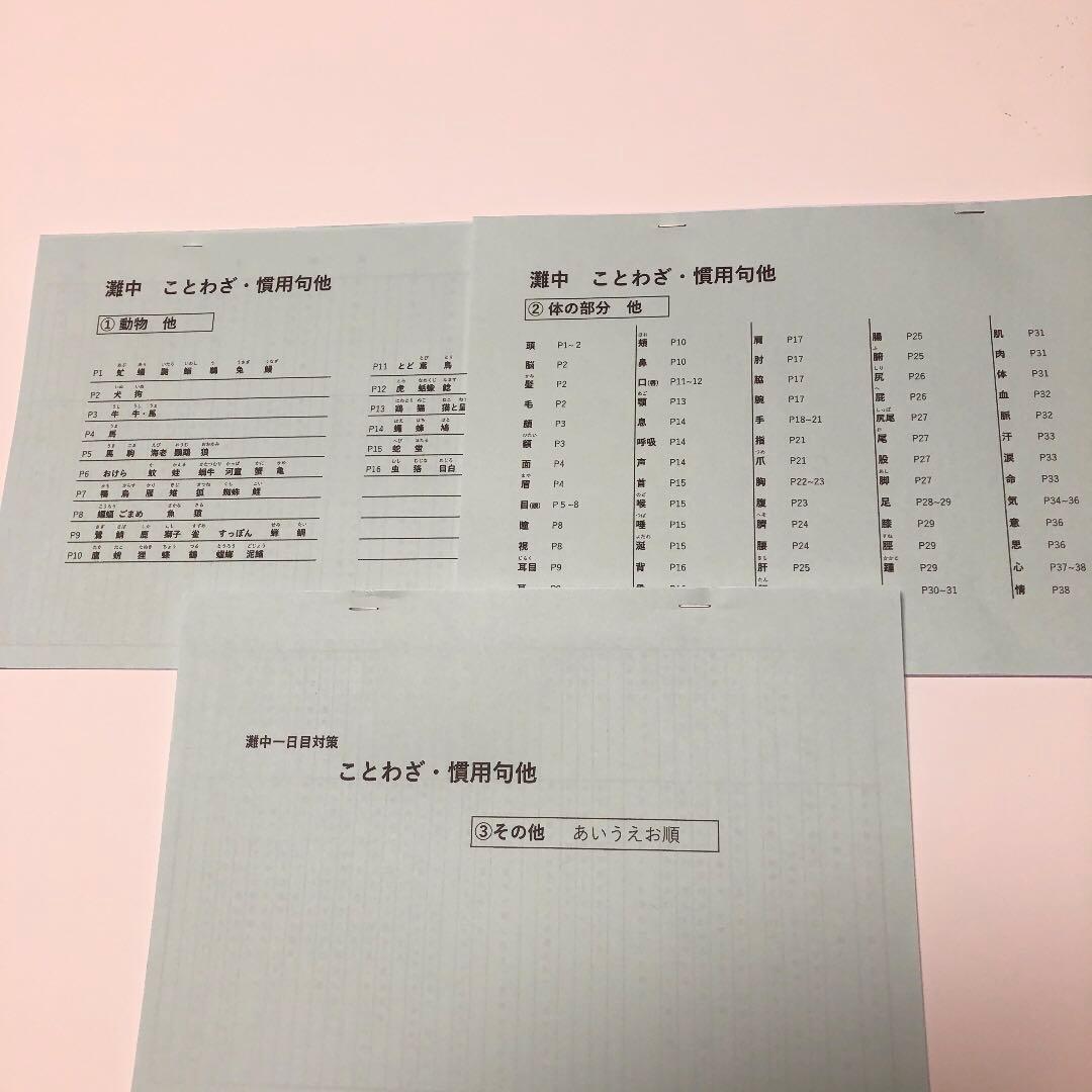 穂高　灘中　中学受験　国語 1日目対策資料　4セット