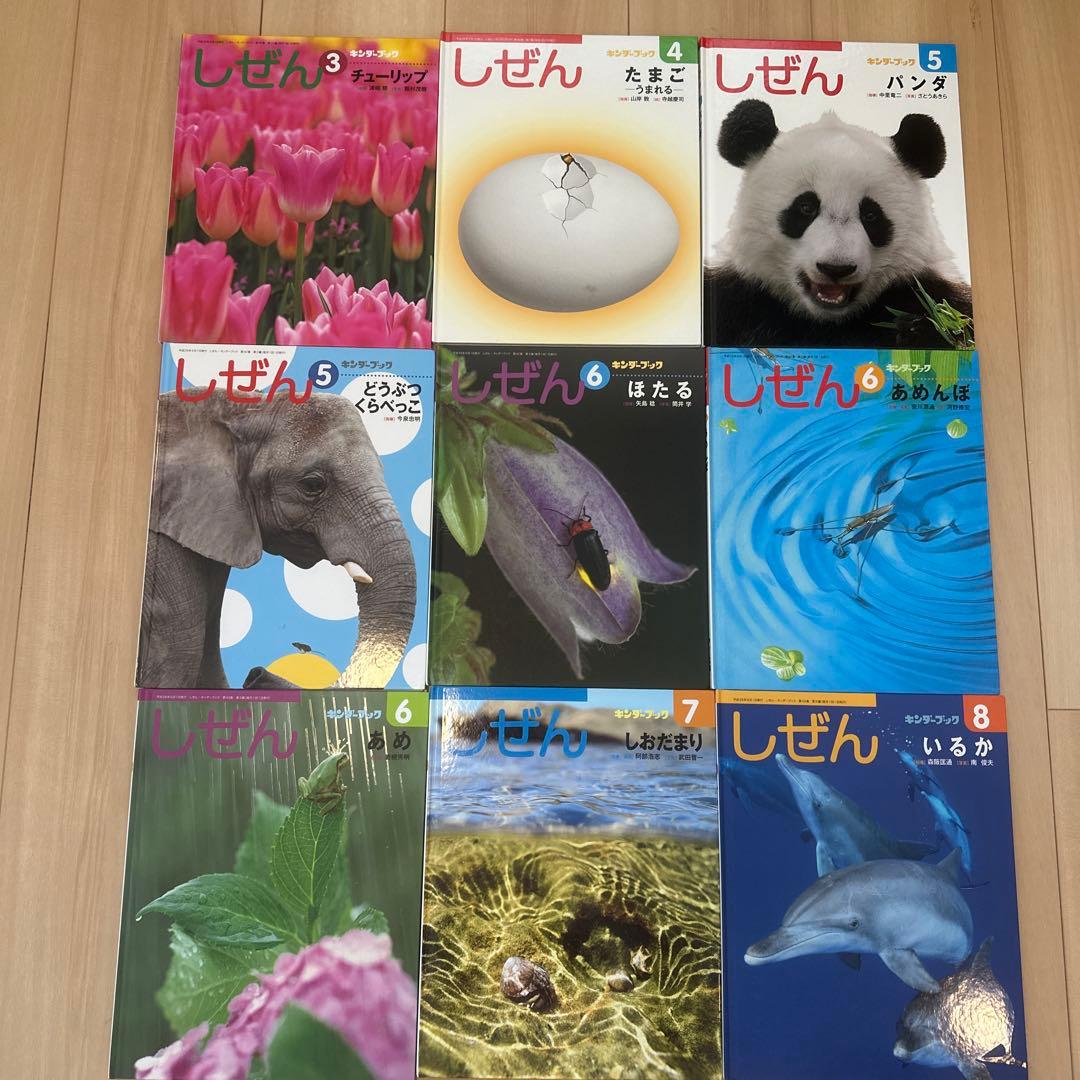 キンダーブック しぜん 37冊 まとめ売り 自然 科学 動物 生き物 植物 天気