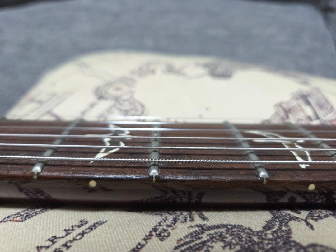H*M様 PRS Custom 24 10top
