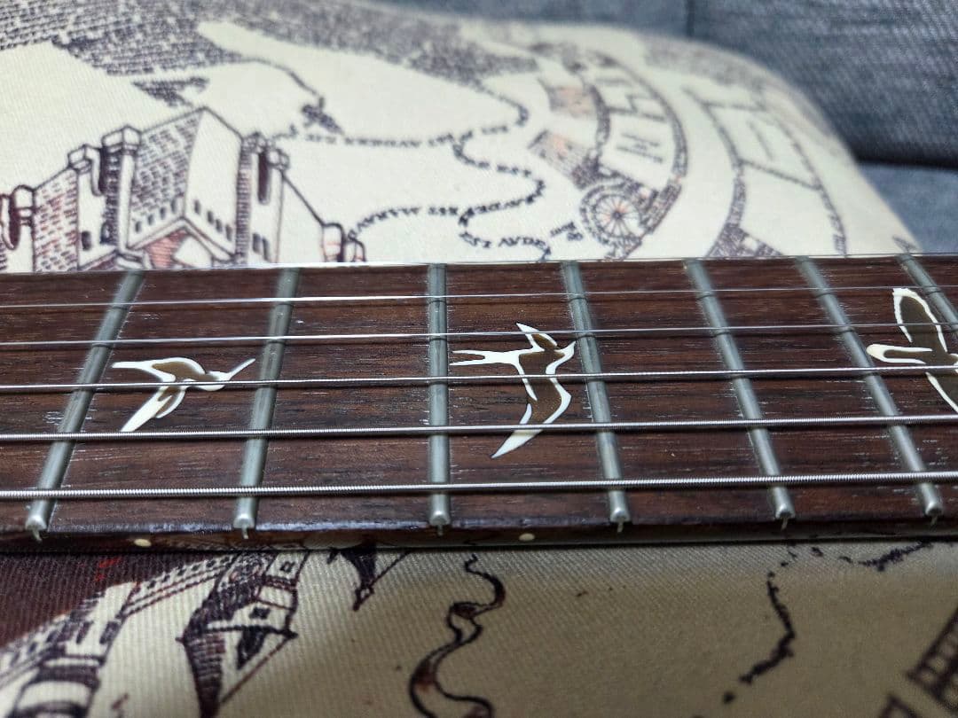 H*M様 PRS Custom 24 10top