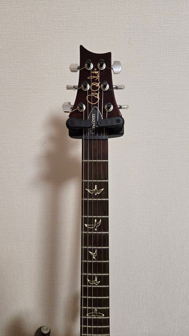 H*M様 PRS Custom 24 10top