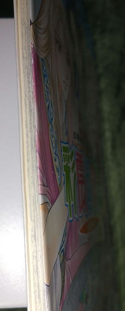 「彩雲国物語 Curtain Call」「彩雲国物語 彩色冊子」小冊子 セット