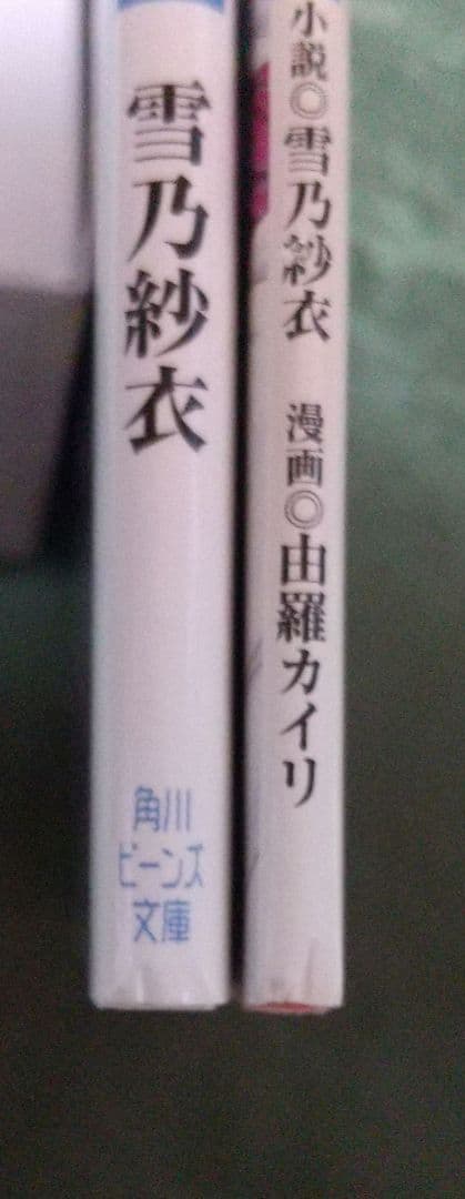 「彩雲国物語 Curtain Call」「彩雲国物語 彩色冊子」小冊子 セット