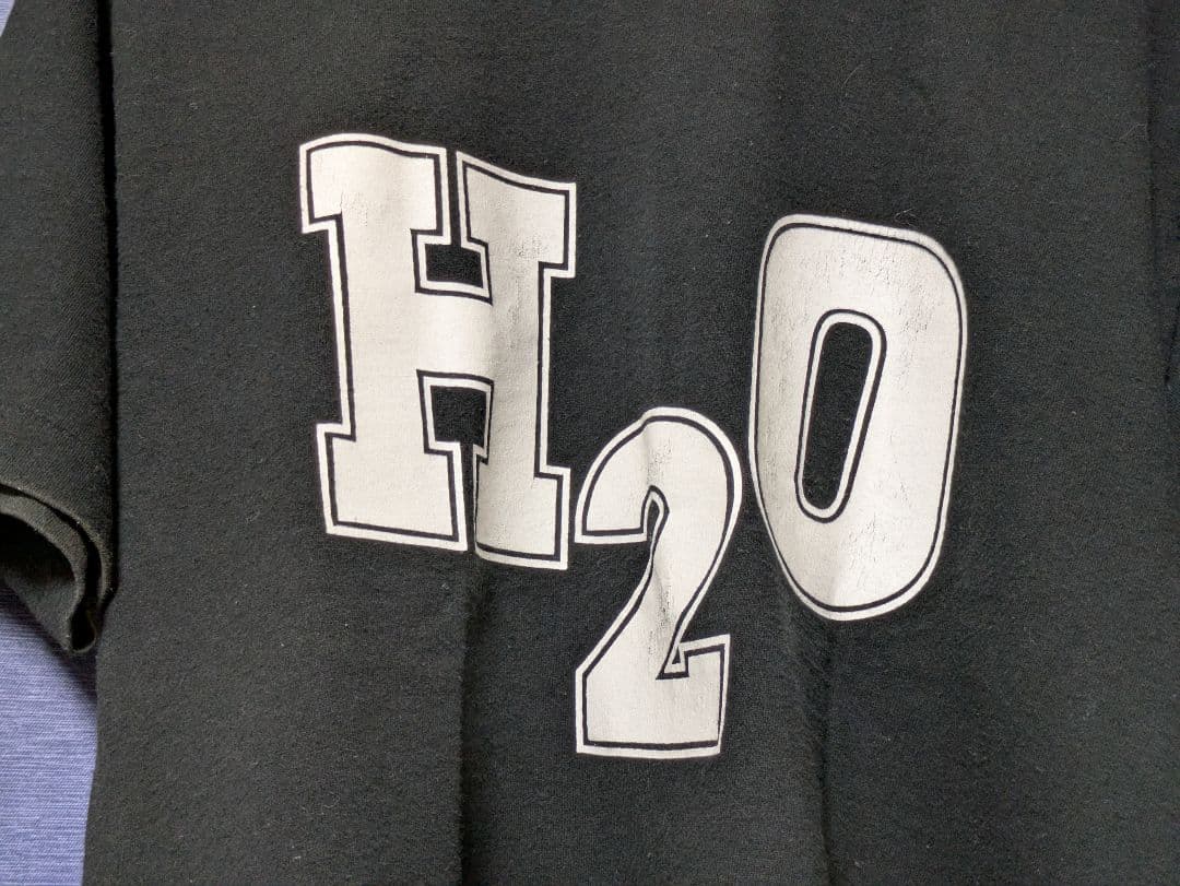 「H2O NYHC Tシャツ」MADBALL 25 TA LIFE ヴィンテージ
