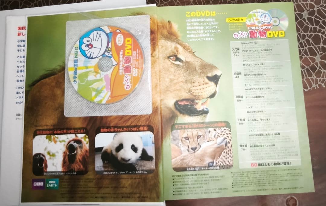 小学館の図鑑NEO 6冊セット DVD付き