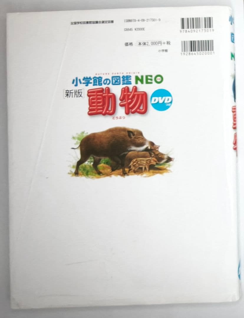 小学館の図鑑NEO 6冊セット DVD付き