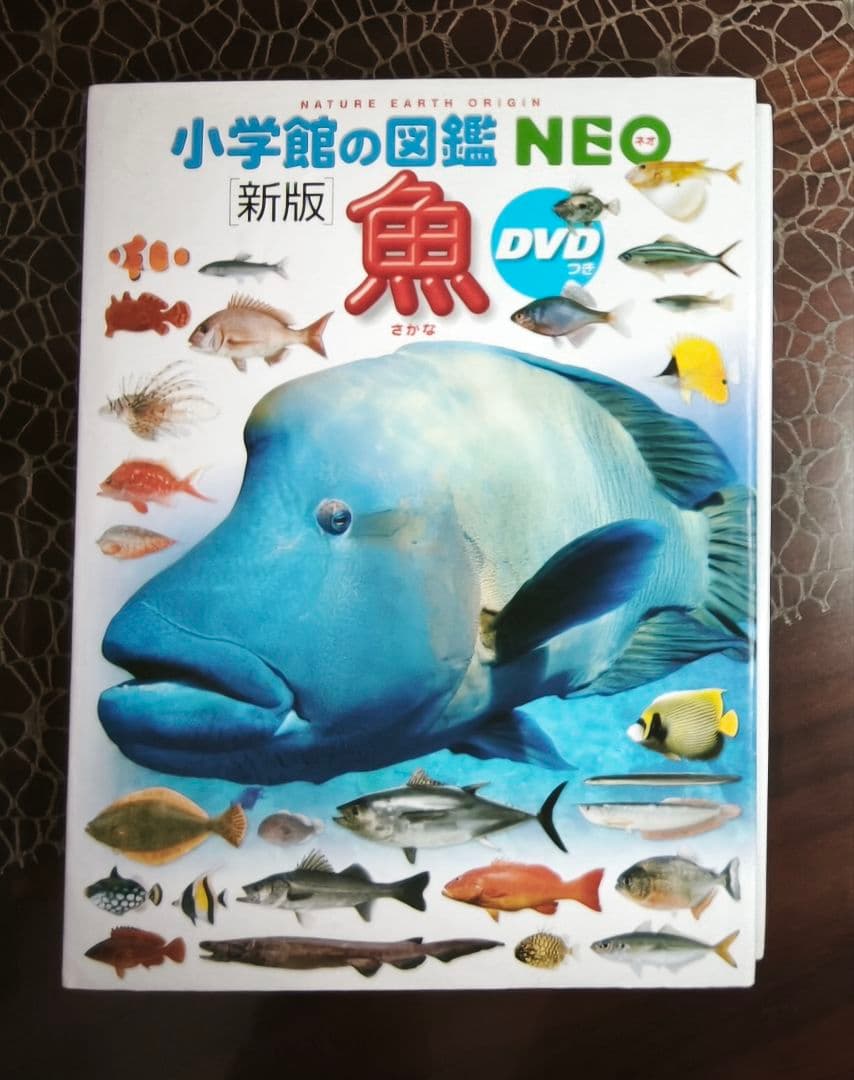 小学館の図鑑NEO 6冊セット DVD付き
