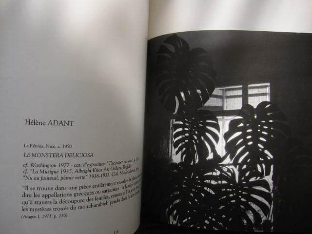 アート・デザイン・音楽 MATISSE PHOTOGRAPHIES / Henri Matisse