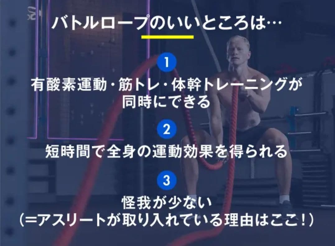 持って振るだけ！短時間で全身トレーニング Z-rope Ver.2　プロ