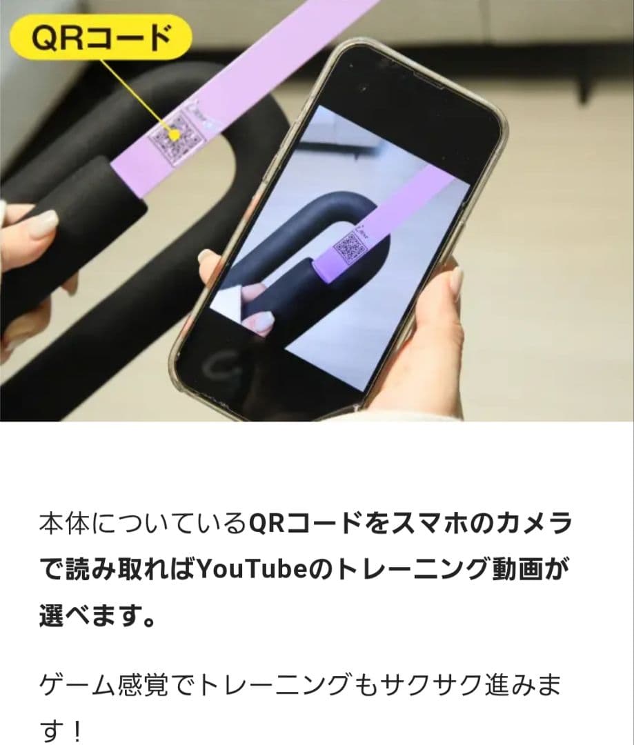 持って振るだけ！短時間で全身トレーニング Z-rope Ver.2　プロ