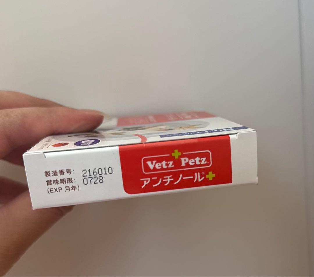 アンチノールプラス60 × 2