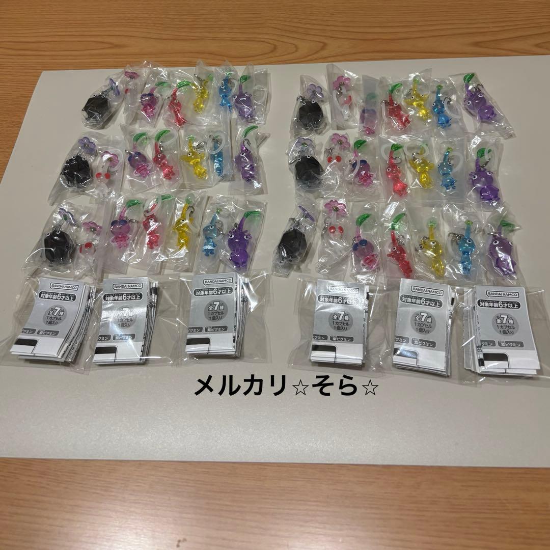 wild flower　6セット