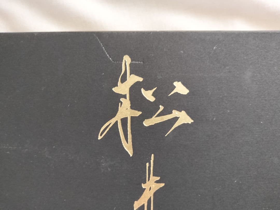 松井冬子　Ⅰ＆Ⅱ　画集　セット