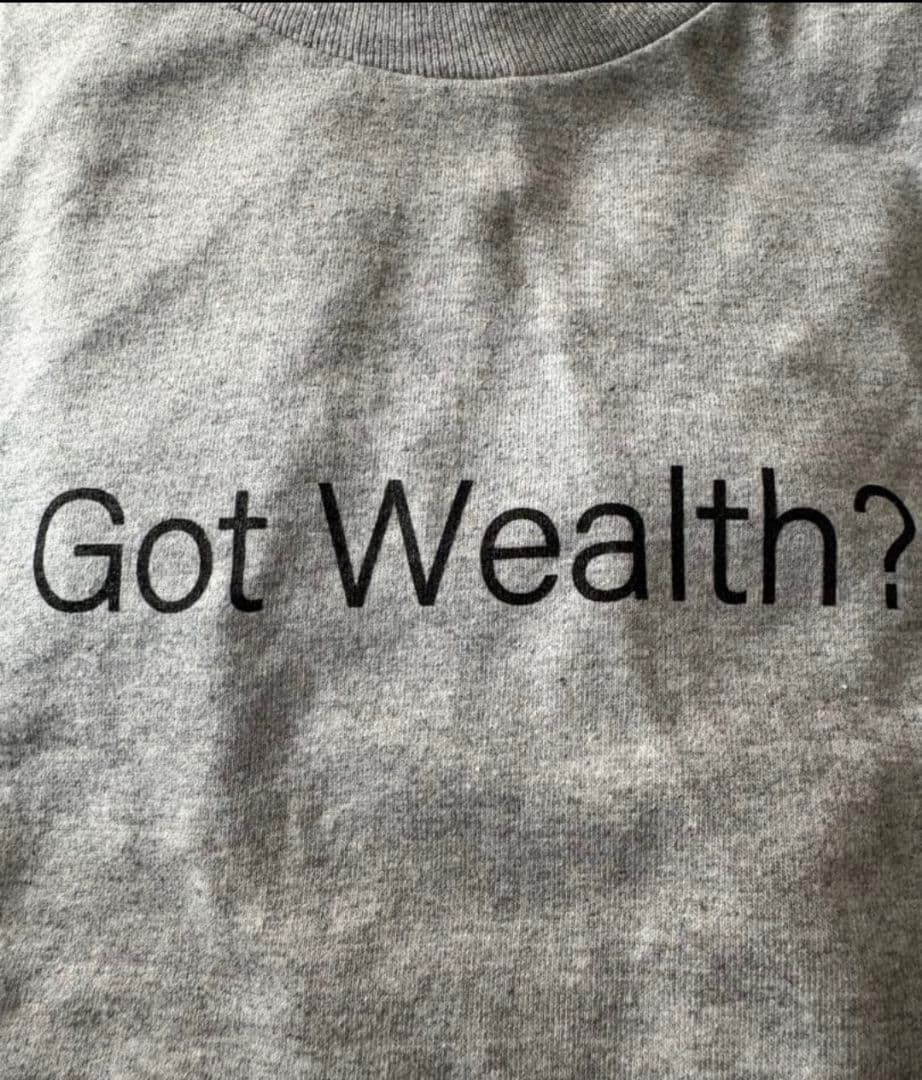 pajastudio　\"Got Wealth?\" ロンT