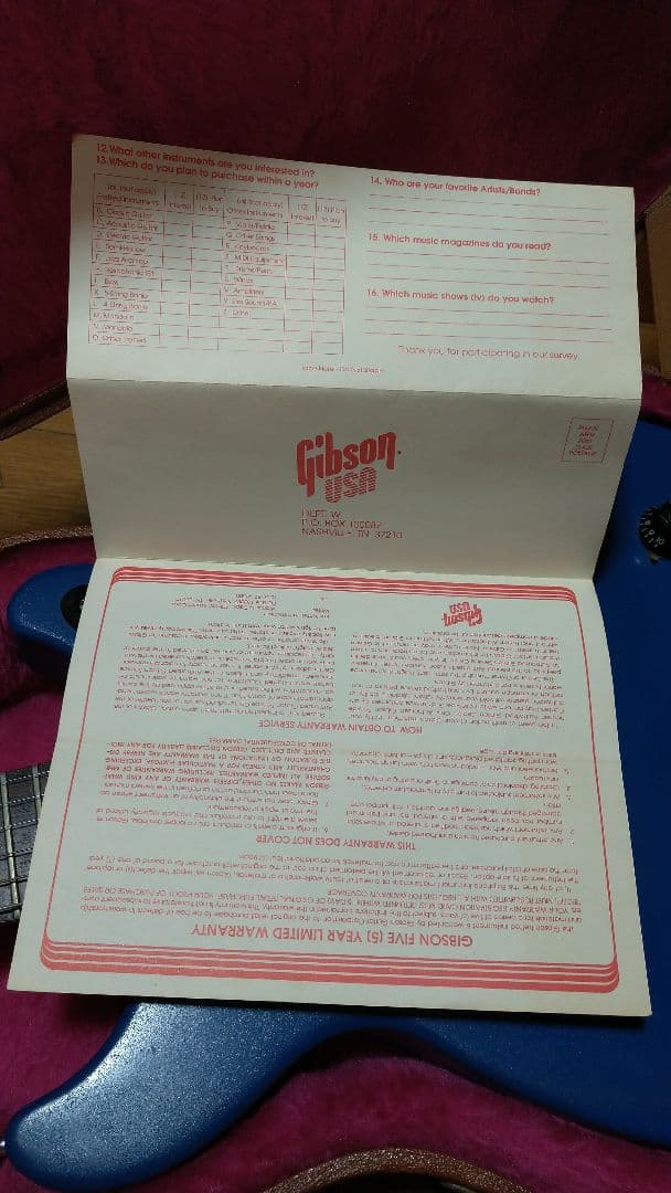 Gibson レスポールジュニア DC TV 1988【自家塗装】
