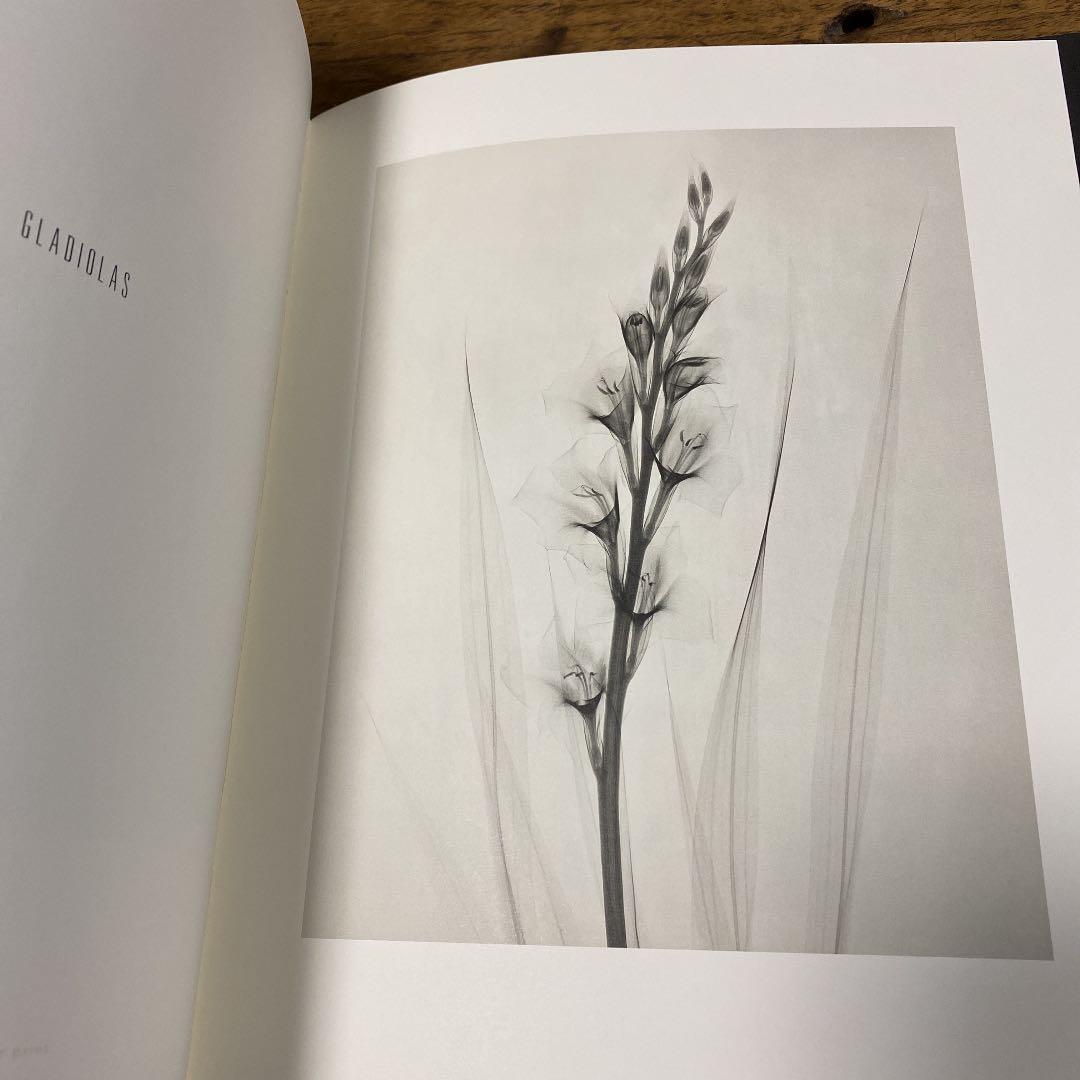 アート・デザイン・音楽 Dr. Dain L. Tasker