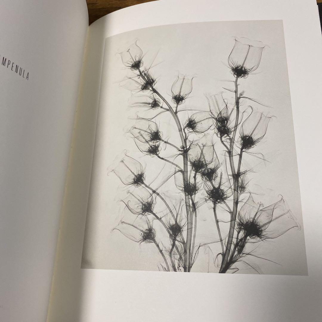アート・デザイン・音楽 Dr. Dain L. Tasker