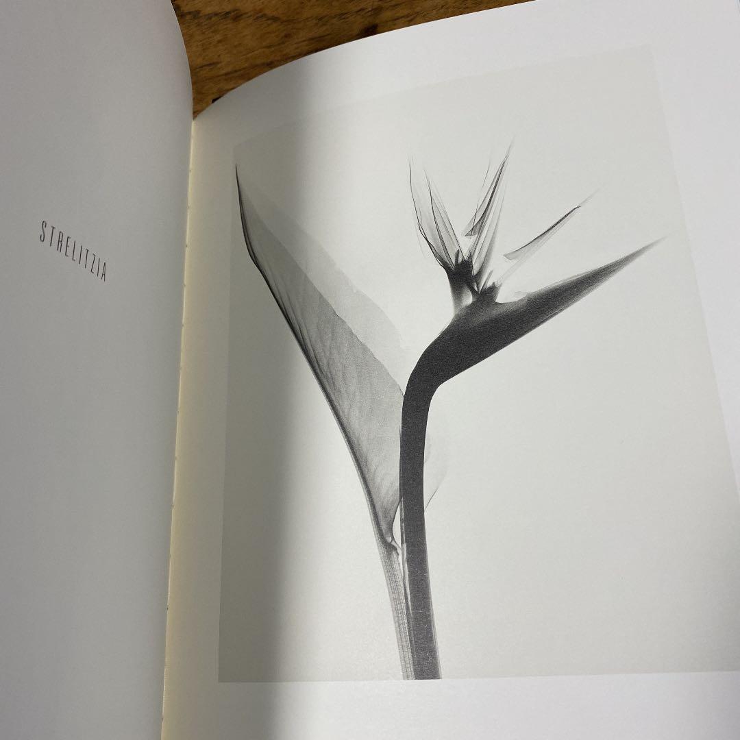アート・デザイン・音楽 Dr. Dain L. Tasker