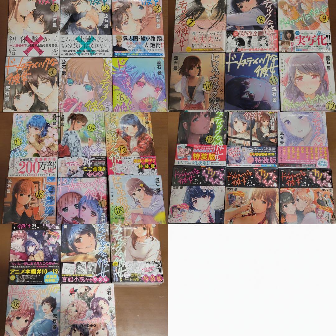 【初版・新品未開封】 ドメスティックな彼女 全28巻+公式薄い本 初版 未開封