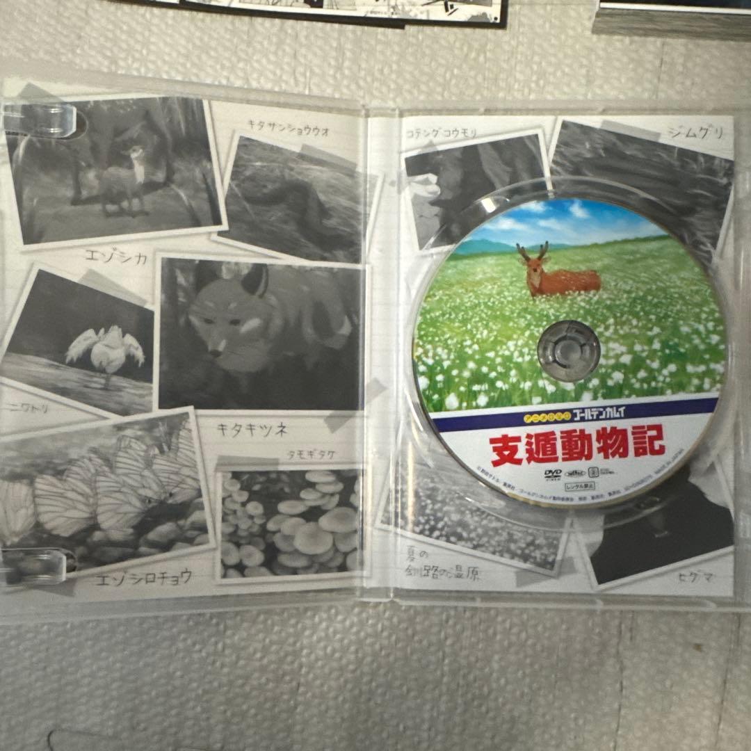 ゴールデンカムイ 23 アニメDVD同梱版