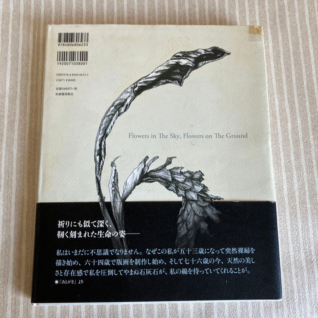 五木玲子画集　天の花　地の花