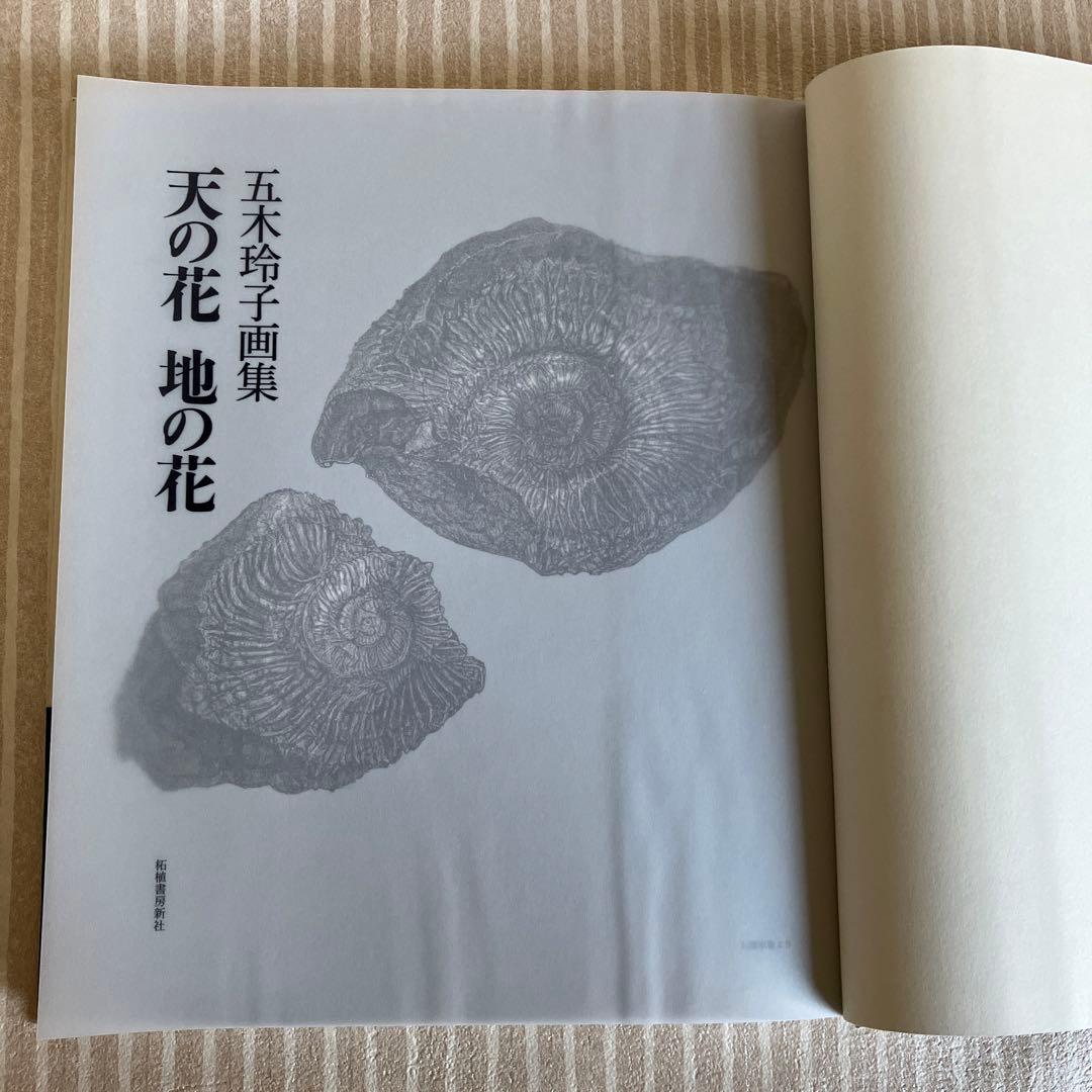 五木玲子画集　天の花　地の花