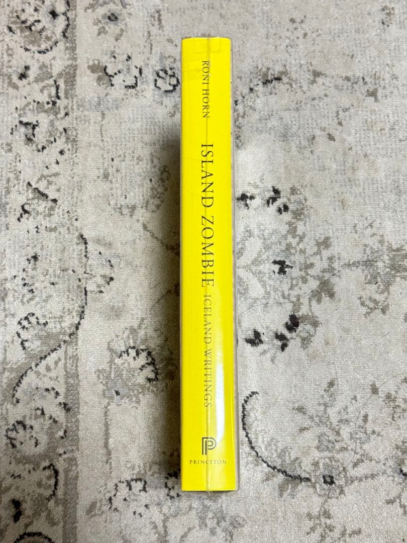 RONI HORN  ZOMBIE 未開封