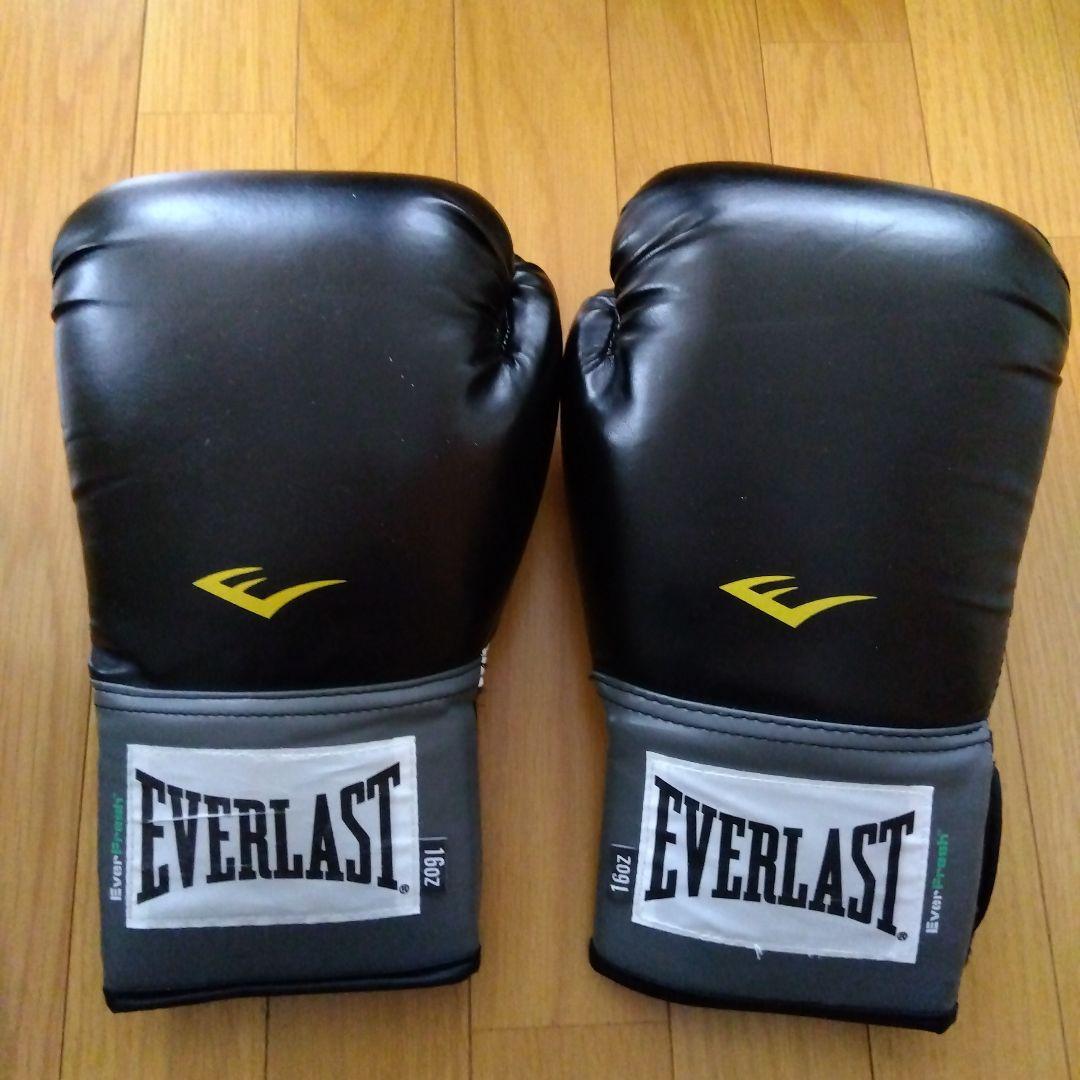 EVERLAST PRO STYLE TRAINING GLOVES 16オンス
