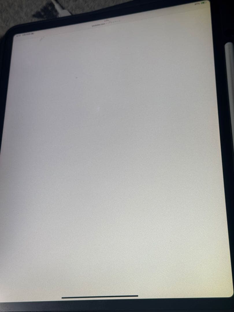 【*Q様 iPad Pro (12.9インチ) 第3世代1TB 本体　画面に黄ば