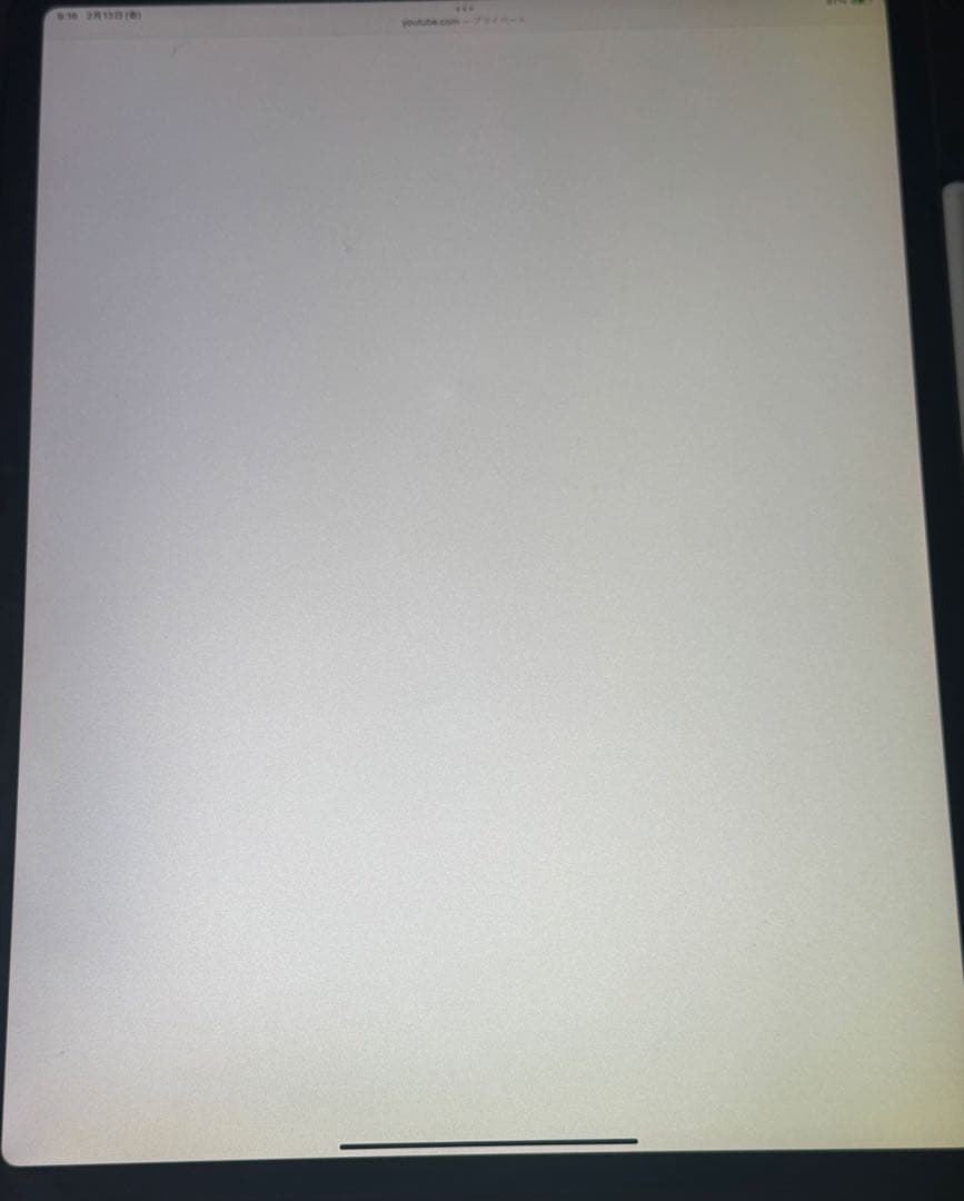 【*Q様 iPad Pro (12.9インチ) 第3世代1TB 本体　画面に黄ば