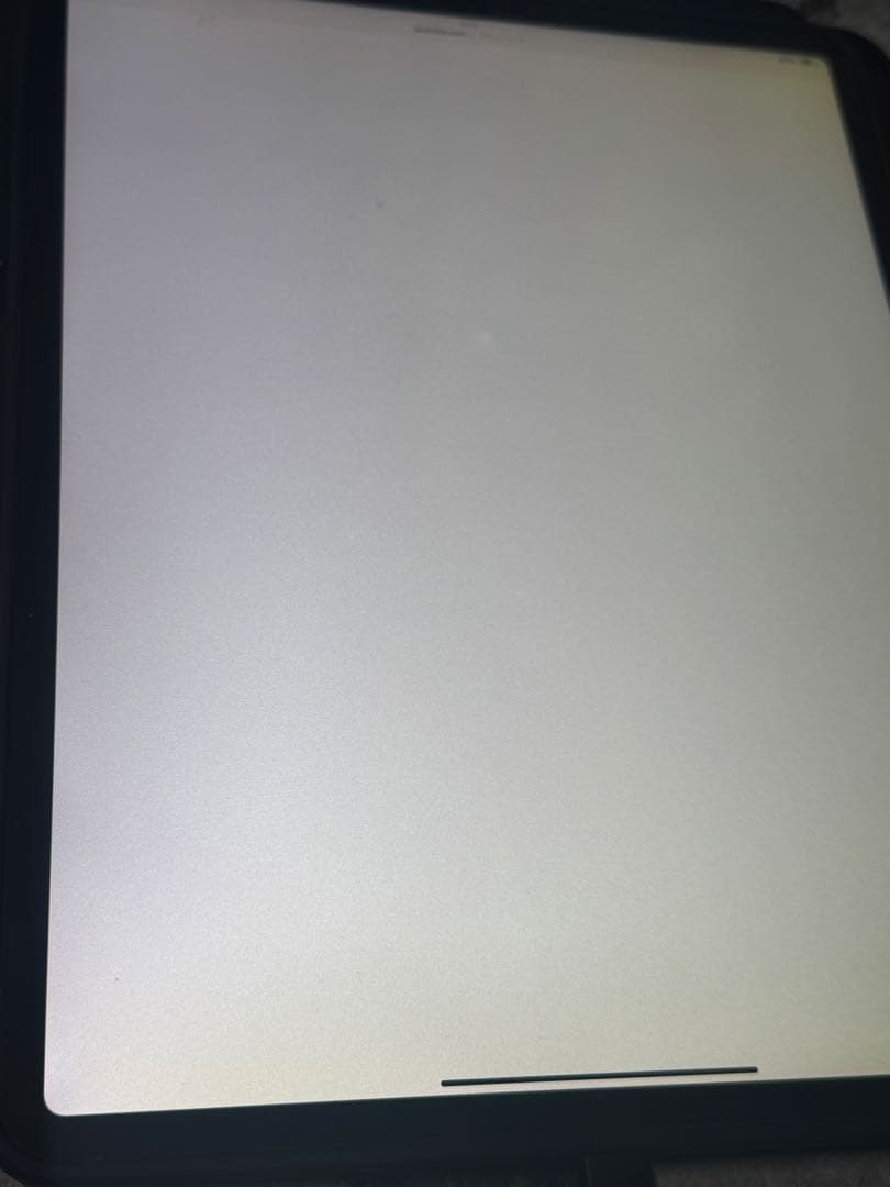 【*Q様 iPad Pro (12.9インチ) 第3世代1TB 本体　画面に黄ば