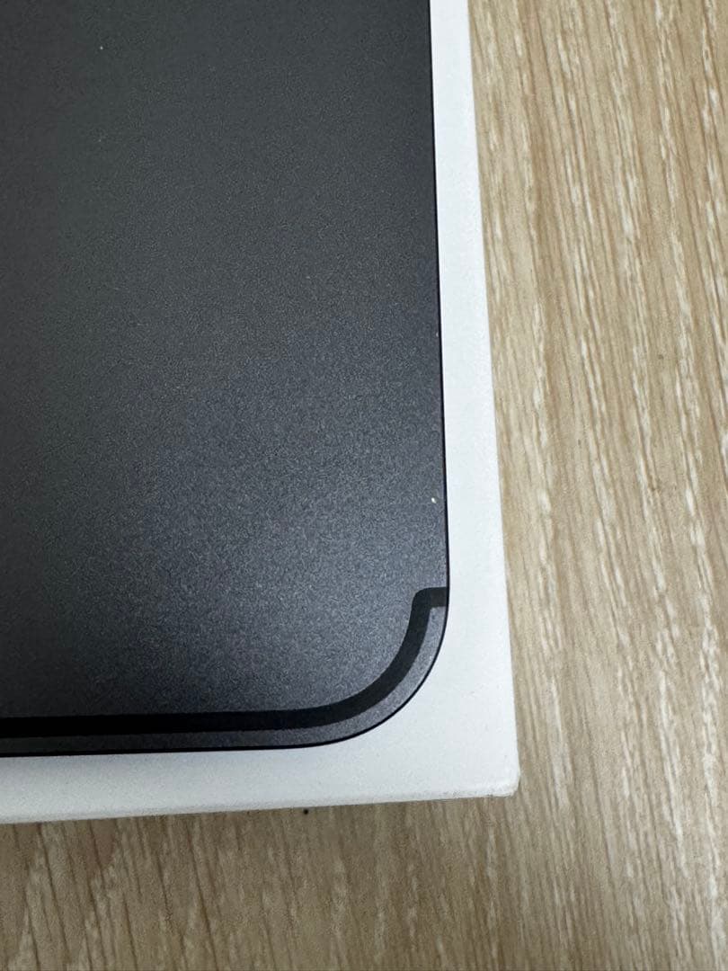 iPad本体 iPad Pro11 M4 Wi-Fi + cellular