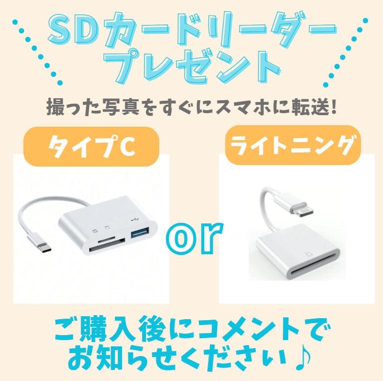 高画質・高性能人気モデル　Nikon D3400　スマホ転送　高速AFレンズ