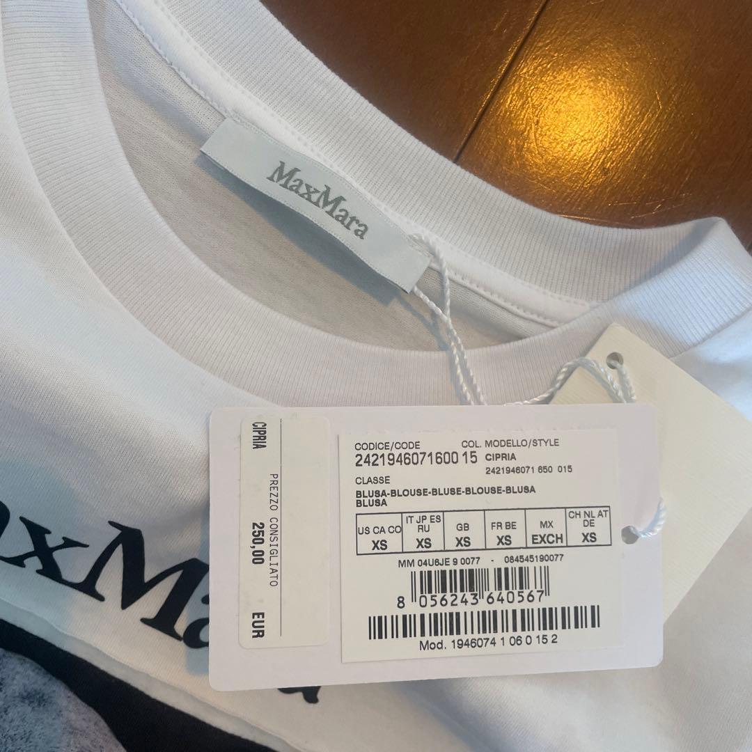 MaxMara 半袖Tシャツ XS
