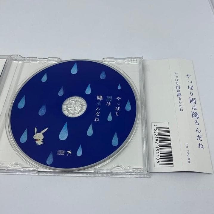 TUYU やっぱり雨は降るんだね CD