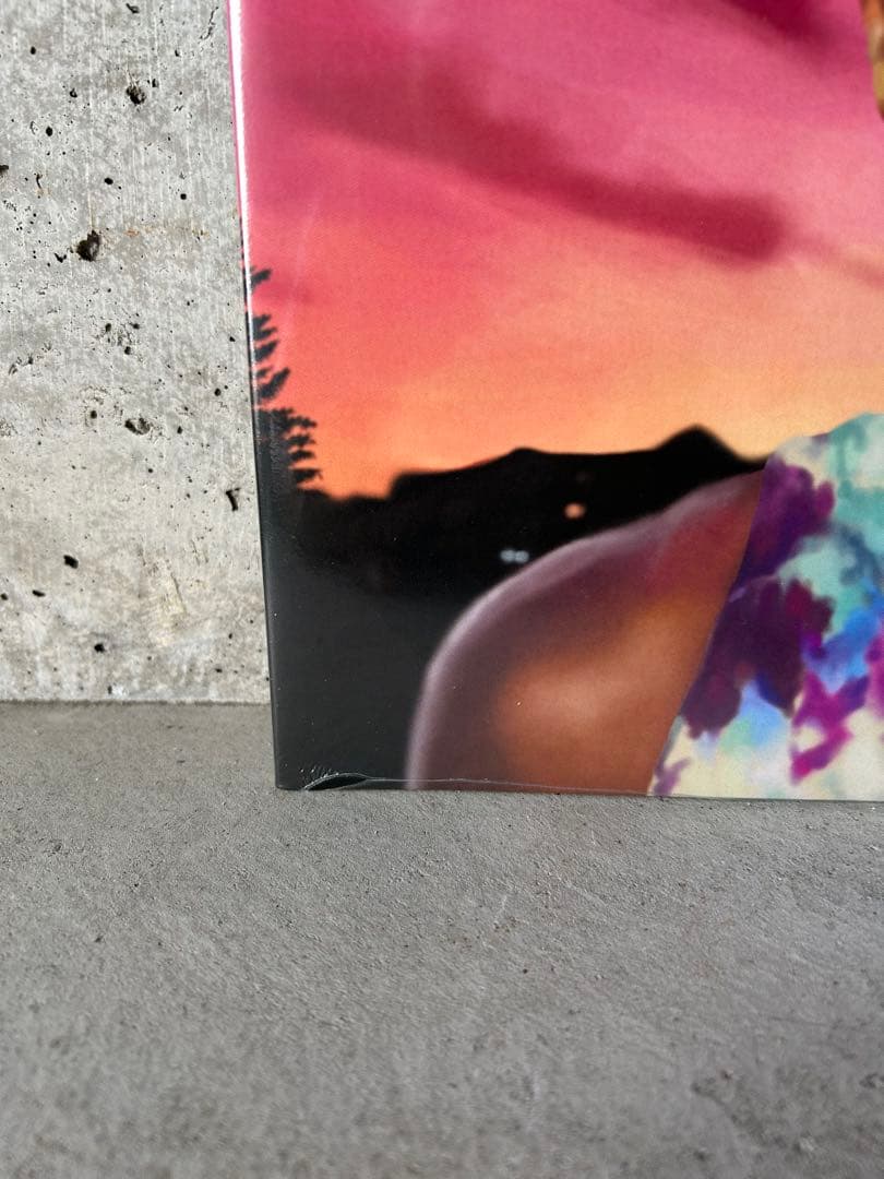 オフィシャル盤 Chance the Rapper ACIDRAP レコード