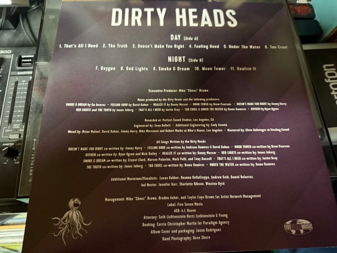 激レア　オリジナル盤　Dirty Heads LP レコード