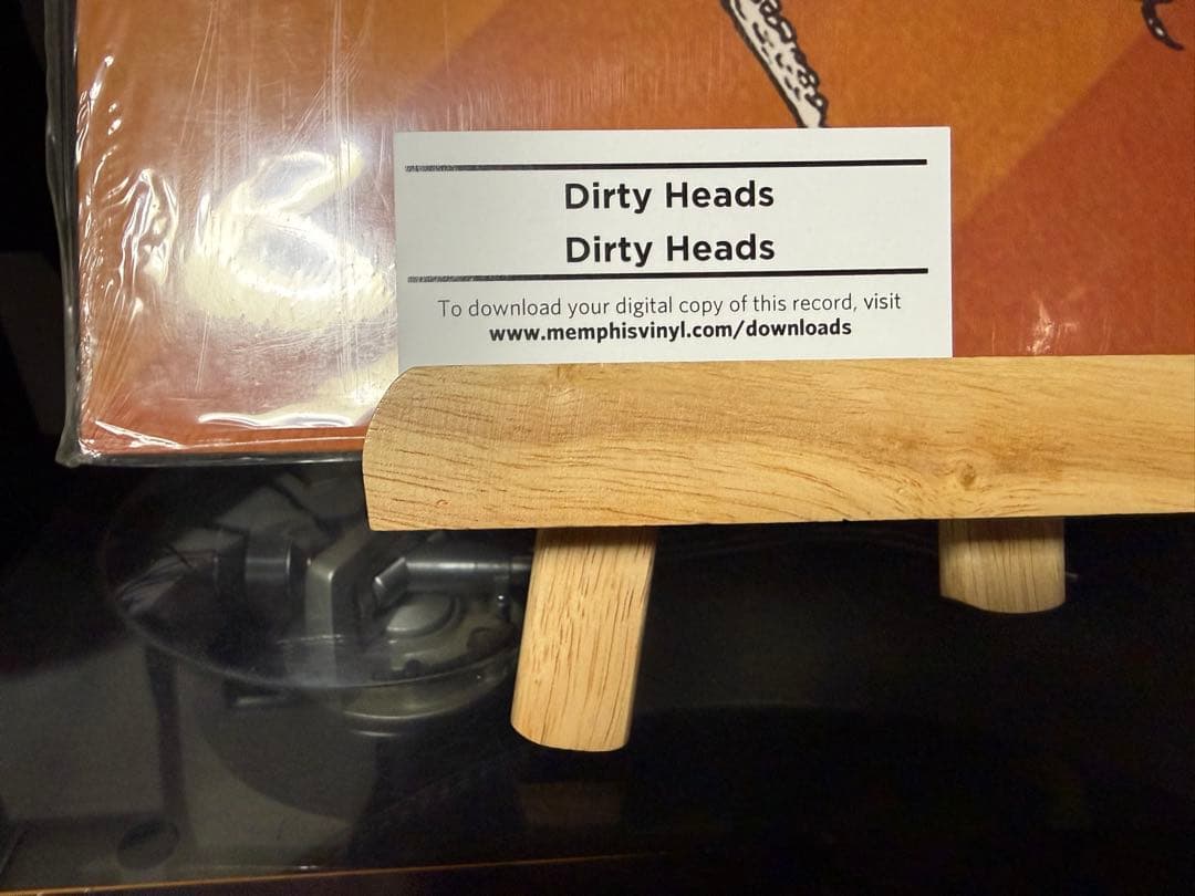 激レア　オリジナル盤　Dirty Heads LP レコード