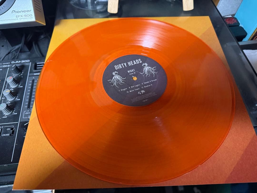 激レア　オリジナル盤　Dirty Heads LP レコード