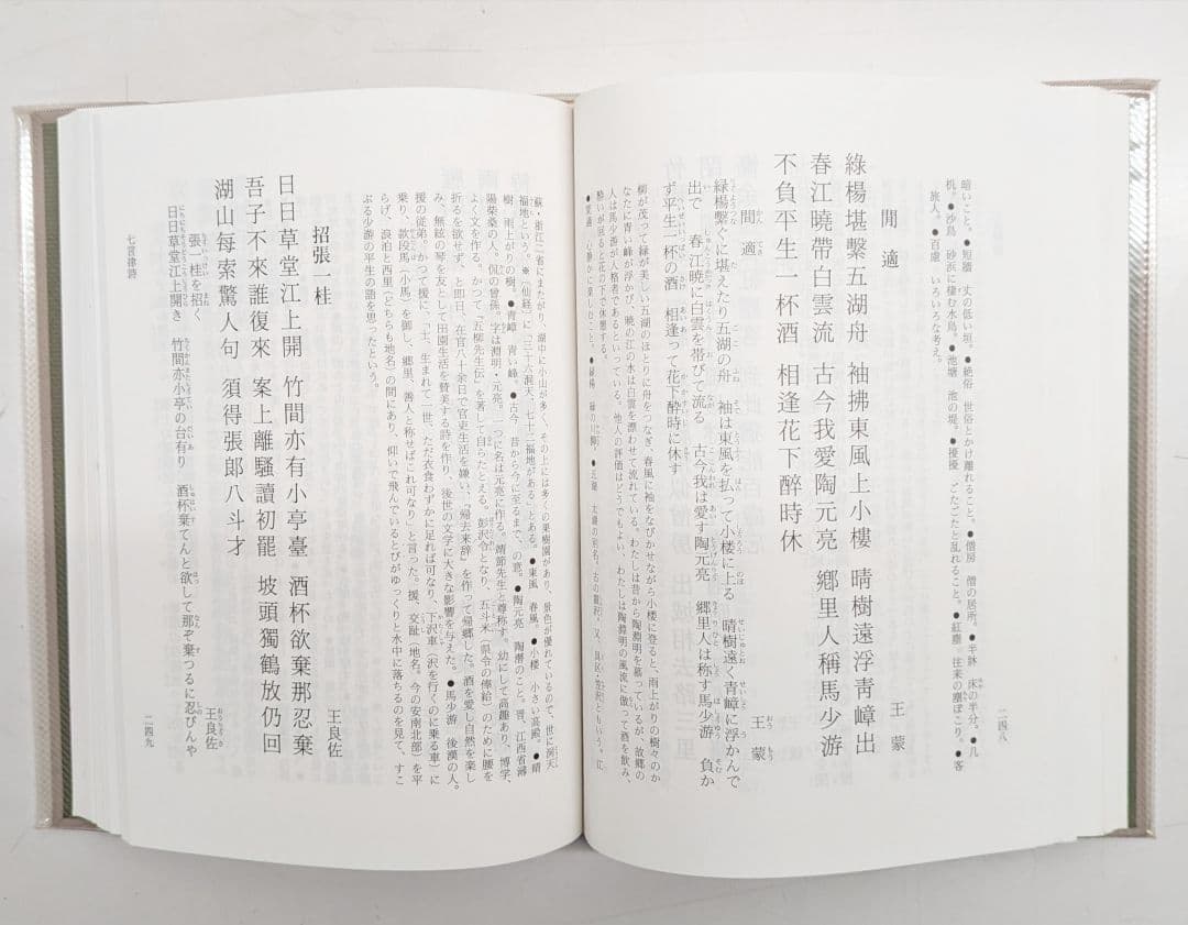 墨場必携 明詩選 林田芳園著