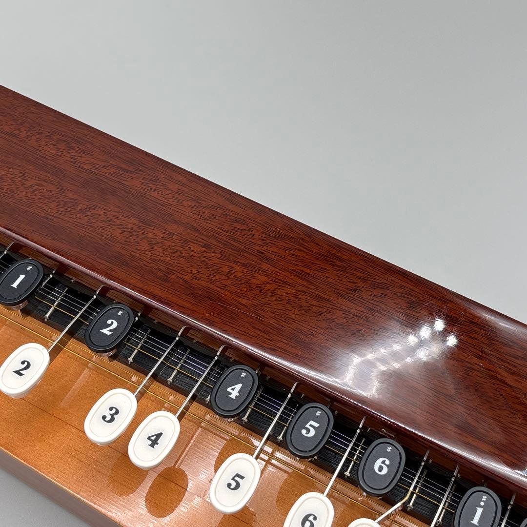 YAMAHA 大正琴 TH-10M ヤマハ ソフトケース付き 和楽器 弦楽器