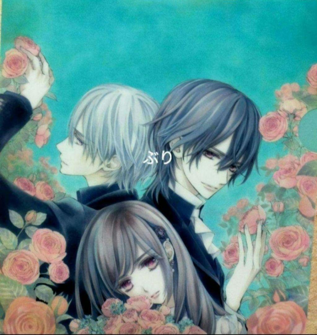 ヴァンパイア騎士 memories 複製原画 ふろく 付録 クリアファイル 全員