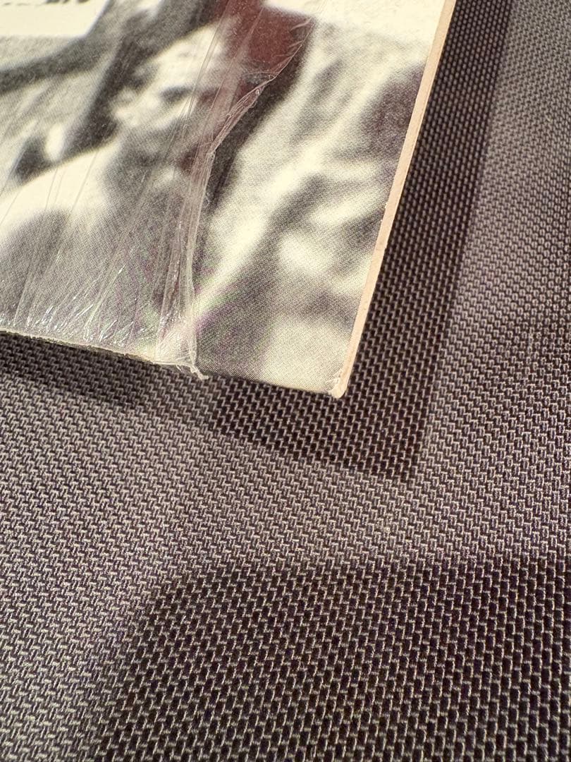 THA BLUE HERB 未来は俺らの手の中　レコード　プロモCD付き