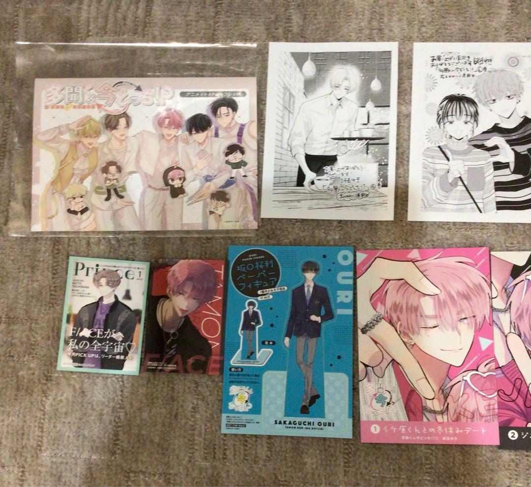 多聞くん今どっち！？　全16巻セット