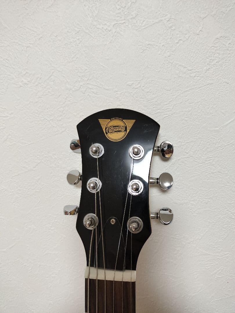 Pignose PGG-200 CS ピグノーズ