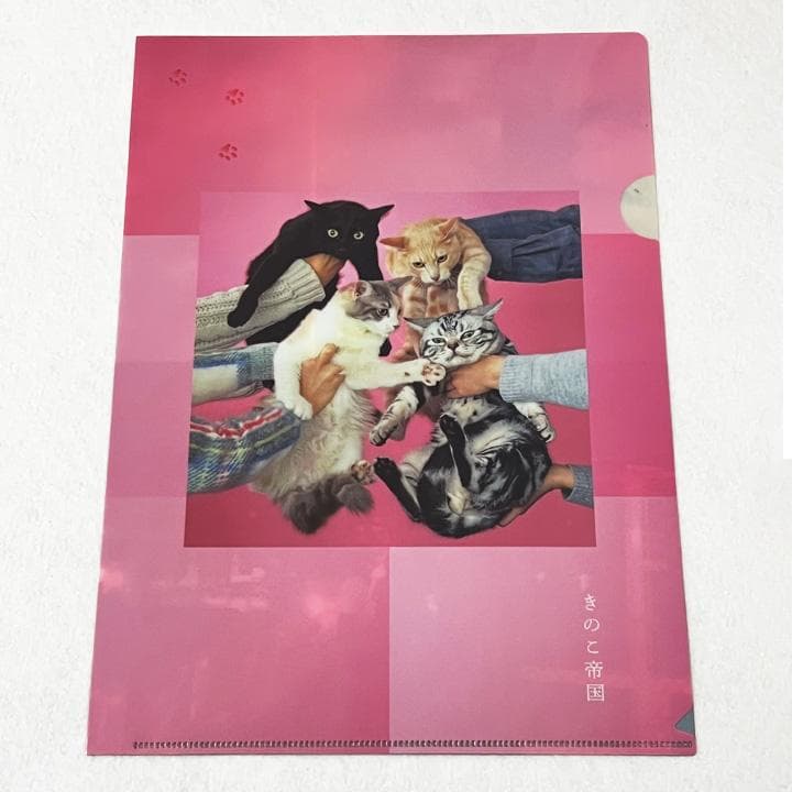 【新品】きのこ帝国　アナログレコード　初回版３作品セット　特典付き