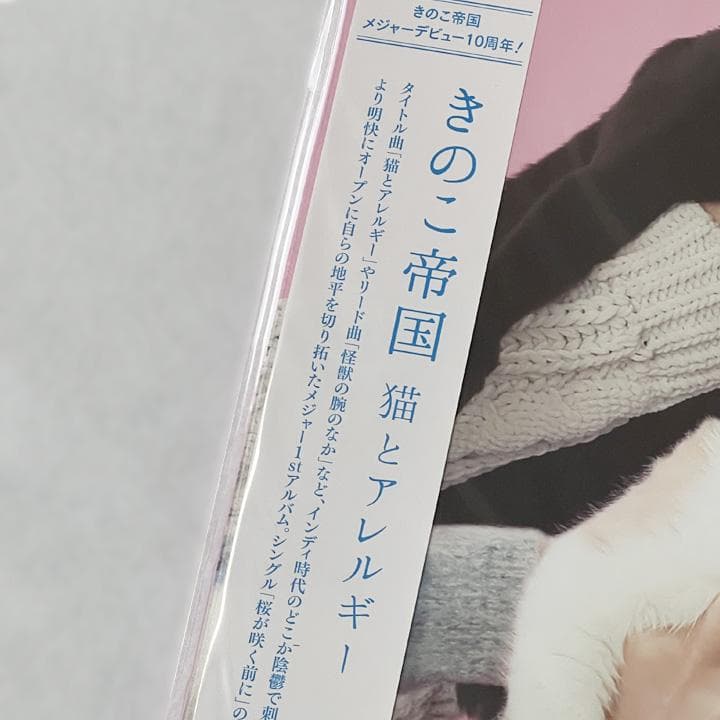 【新品】きのこ帝国　アナログレコード　初回版３作品セット　特典付き