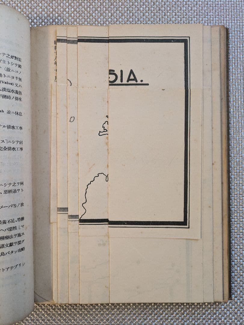 東印度諸島ノ疾病　山口頼夫　ジャカルタ陸軍病院　非売品